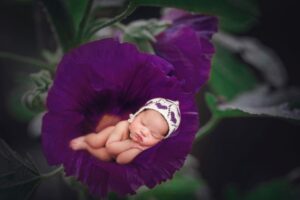 baby lying in purple flower